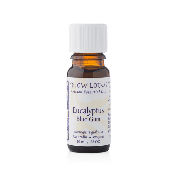 Eucalyptus, blue gum - 10 mL