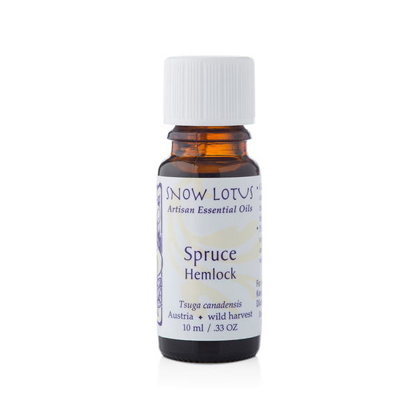 Spruce, Hemlock - 10 mL