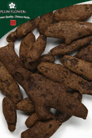 Gu Sui Bu, unsulfured