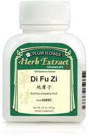 Di Fu Zi extract granule