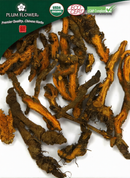 Huang Lian, unsulfured- Certified Organic