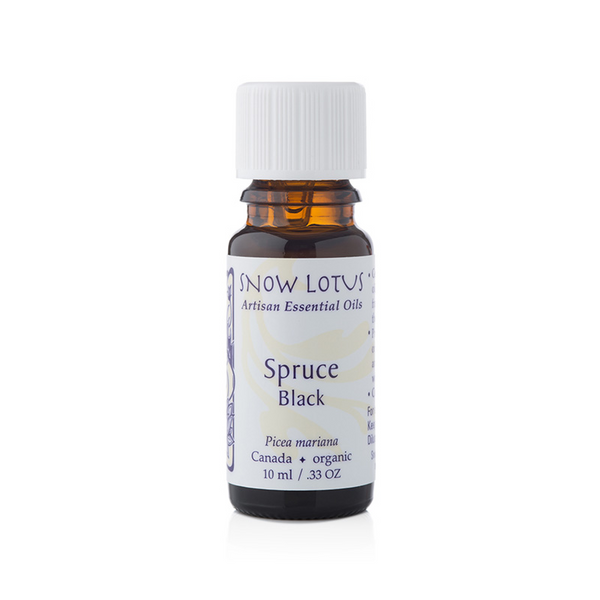 Spruce, black - 10 mL