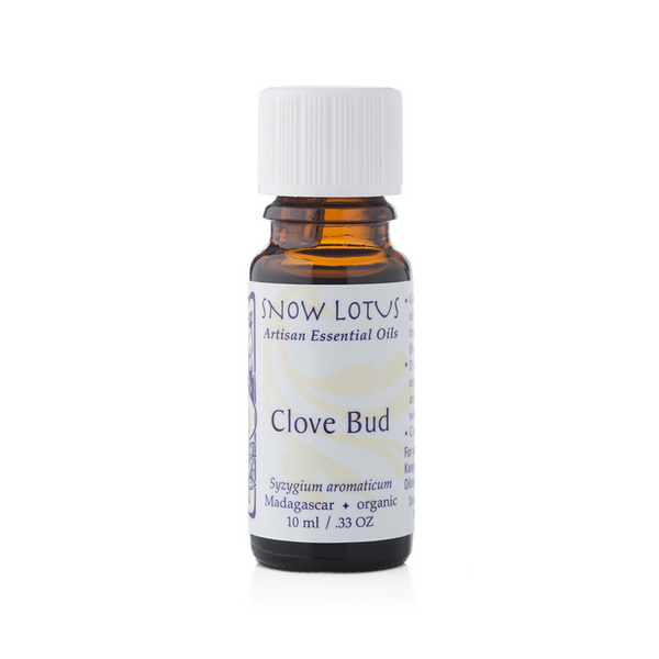 Clove Bud - 10 mL