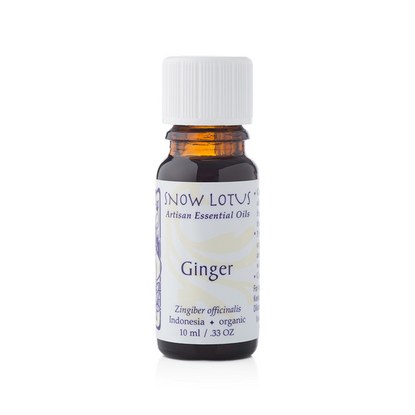 Ginger - 10 mL