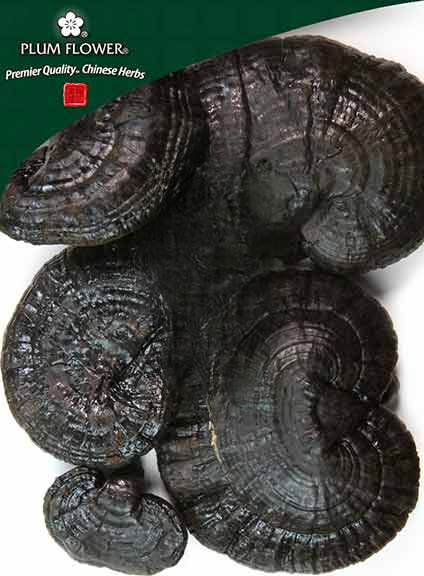 Ling Zhi (hei), unsulfured